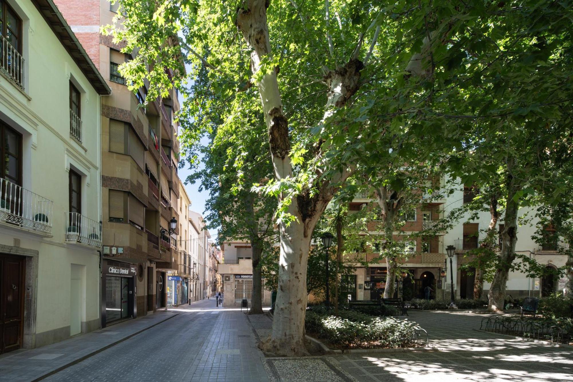 Lobos Deluxe Apartman Granada Kültér fotó